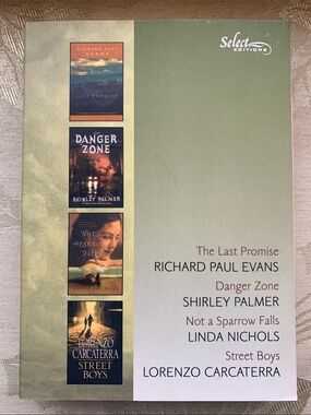 The Last Promise, Danger Zone, Not a Sparrow Falls, Street Boys
